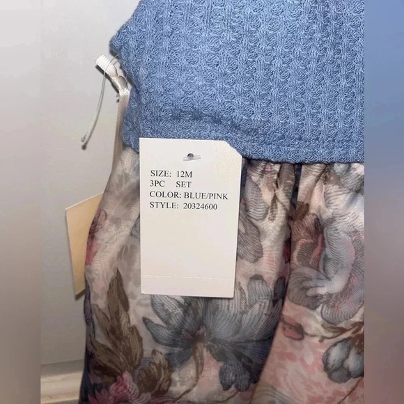 Dress 3 Piece Beautiful 12M NEW - Picture 3 of 11